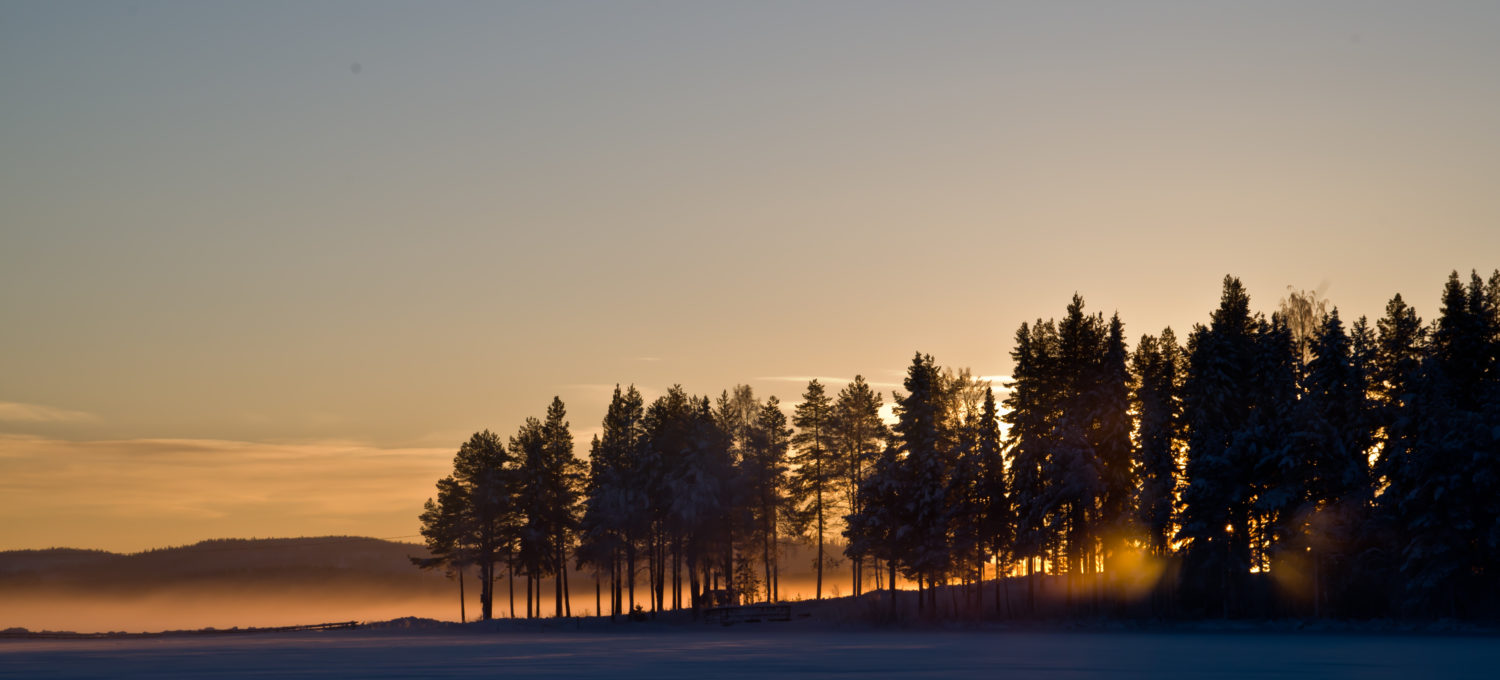 Schweden, Winterwandern unter dem Polarhimmel_Foto Hauser Exkursionen, Katharina Koch-Hartke (1)
